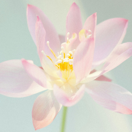 28 mars 2026 - Lausanne